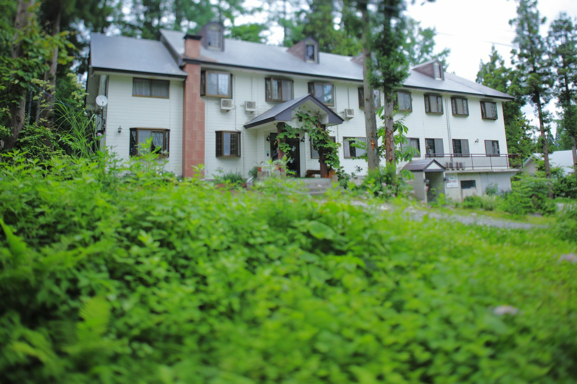 Hakubagoryu Pension&Logcottage Arumu Exterior photo